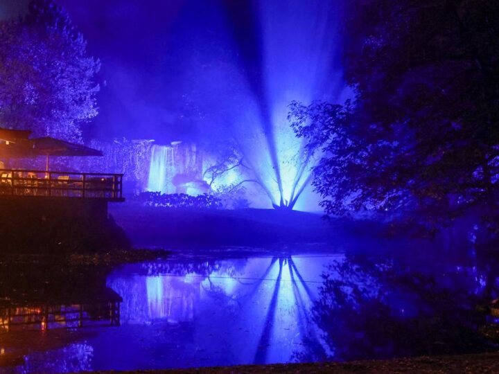 Mit spezieller Lichtkunst: Was es beim Herbstzauber in den Schlossgärten Arcen zu sehen gibt