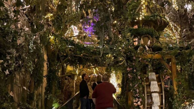 Direkt hinter der Grenze: Das hat die Weihnachtsshow in Duiven in diesem Jahr zu bieten