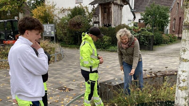 Zusammen mit Nettetaler Gärtnerei: Auszubildende lernen Praktisches über Staudenbepflanzung