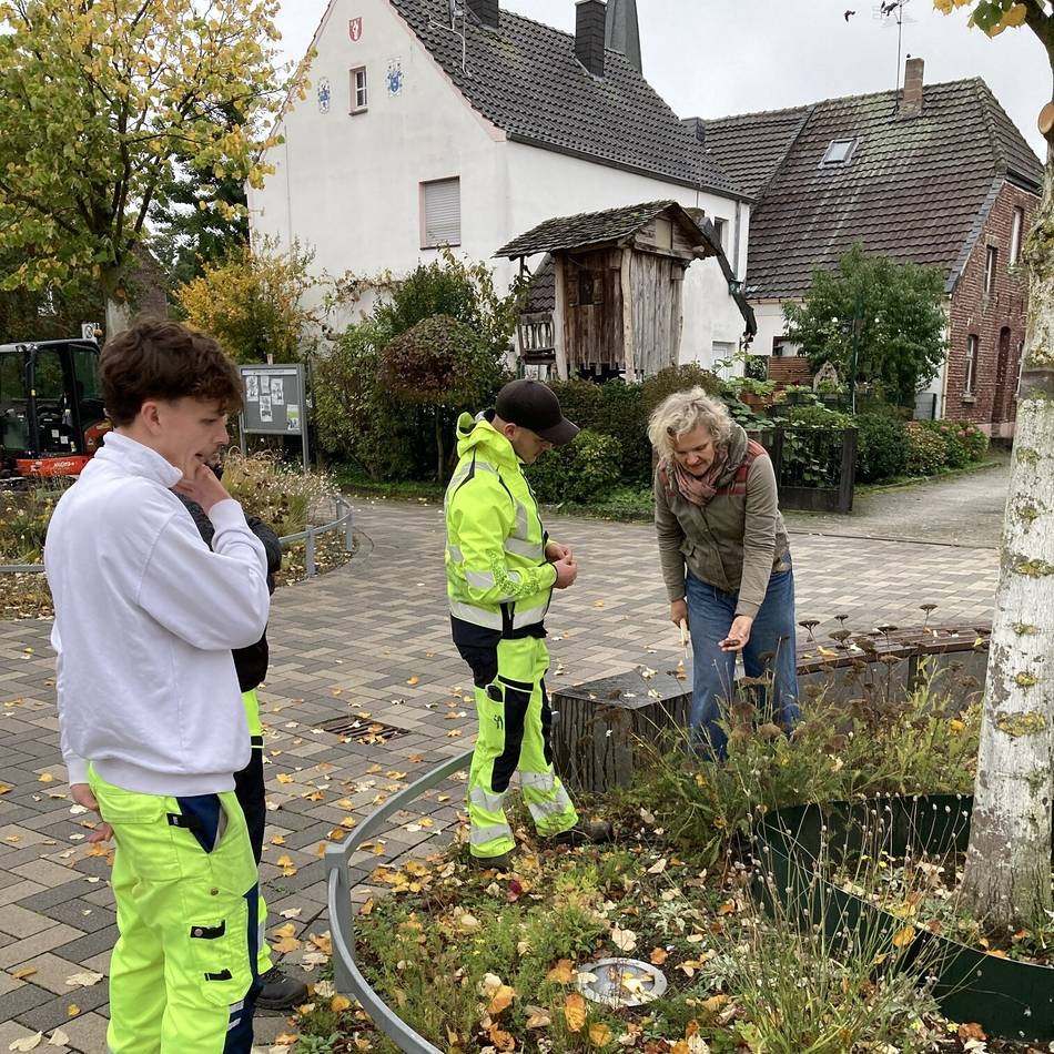 Zusammen mit Nettetaler Gärtnerei: Auszubildende lernen Praktisches über Staudenbepflanzung
