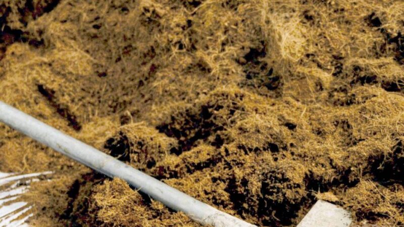 Kostenlose Abholung in Rheinberg: Hier gibt es Kompost für den heimischen Garten