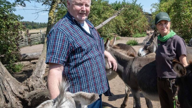 Freude in Dormagen: Der Eselpark Zons bekommt seine Halle
