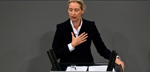 AfD im Bundestag: Die können es nicht – Kommentar
