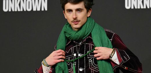 Timothée Chalamet: Bob-Dylan-Darsteller steht zu seiner Enttäuschung über verpassten Oscar