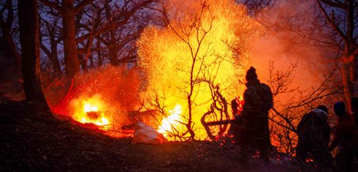 Iran: Brände wüten in Unesco-Welterbe – hyrkanische Wälder