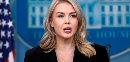 Ukraine: Weißes Haus bezeichnet Friedensplan als „gut“ für beide Seiten