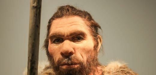 Neandertaler aßen offenbar fremde Frauen und Kinder