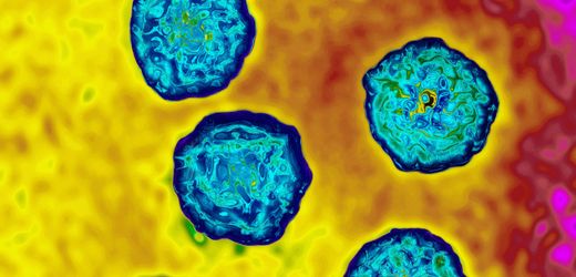 Kinderlähmung: Polio-Wildviren in Abwasser in Hamburg