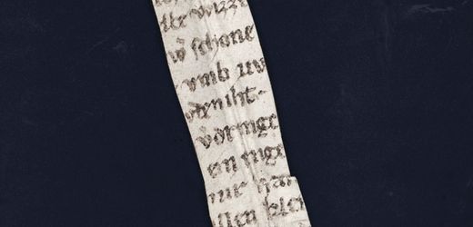 Mysteriöses Fragment: Das Porno-Pergament aus der Klosterbibliothek