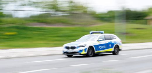 Auerbach in Bayern: Polizei fasst Ortsschild-Diebe nach rasanter Flucht