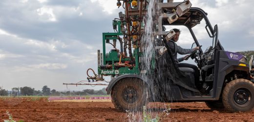 Brasilien: Wie Landwirte für einen Boom der Agrarindustrie sorgen