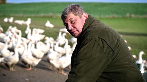 1100 Tiere für die Gänsesaison, doch manchmal darf der Liebling bleiben