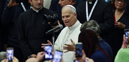 Donald Trump: Papst Leo kritisiert »extrem respektlose« Migrationspolitik