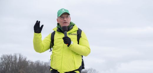 Sündenwäldchen am Hambacher Forst: Rodung des historischen Waldes am Tagebau