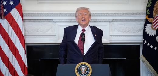 Donald Trump und der Shutdown-Streit in den USA: Auf diese Opposition kann er sich verlassen