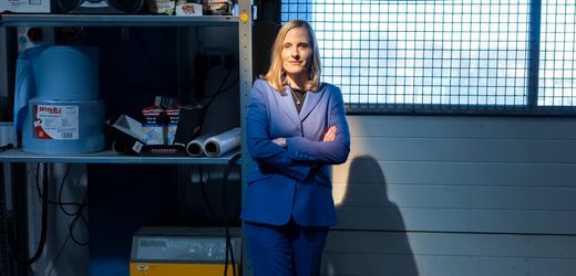 AfD und Wirtschaft: Wo in Deutschlands Unternehmen die Brandmauer bröckelt