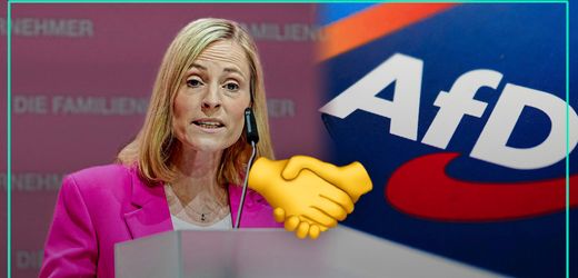 Brandmauer-Debatte: Warum Familienunternehmer die Nähe zur AfD suchen – Podcast