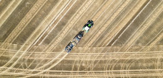 Sachsen-Anhalt: Ärger über Geschäfte mit großen Agrarflächen durch australischen Investor