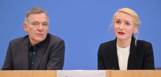 Israel: Linken-Parteispitze kritisiert Beschluss der Parteijugend