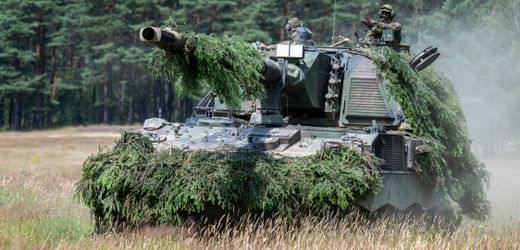 AfD reichte seit 2020 gut 7000 sicherheitsrelevante Anfragen ein