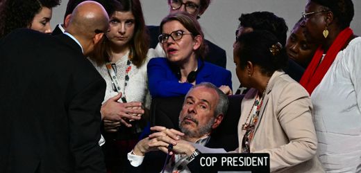 COP30 in Belém: »Der Ausstiegsplan der Brasilianer könnte zum Wendepunkt werden«