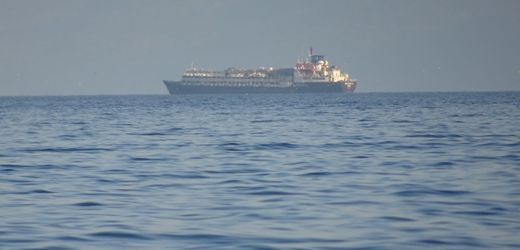 Türkei: Tierschützer befürchten Tausende tote Rinder auf schwimmendem Viehtransporter aus Uruguay