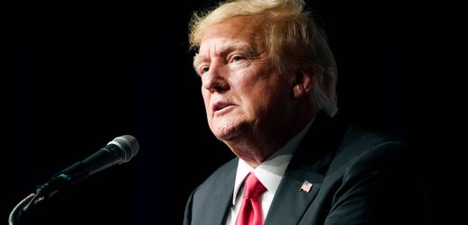 Donald Trump und die Epstein-Akten: »Hätte sie einfach selber freigeben können«