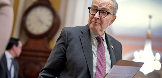 Shutdown in den USA endet: Demokraten streiten über Strategie gegen Donald Trump