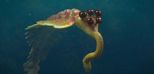 Evolution: Veränderung der Sonneneinstrahlung könnte Entwicklung angetrieben haben