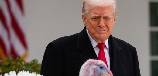 Thanksgiving-Tradition: Donald Trump begnadigt »Waddle« und »Gobble« und teilt gegen Demokraten aus