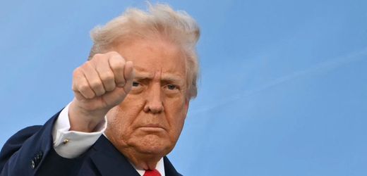 Donald Trump ruft Republikaner auf, für Freigabe der Jeffrey-Epstein-Akten zu stimmen