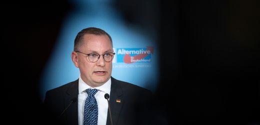 AfD-Politiker und Wladimir Putin: Ein Herz für Russland