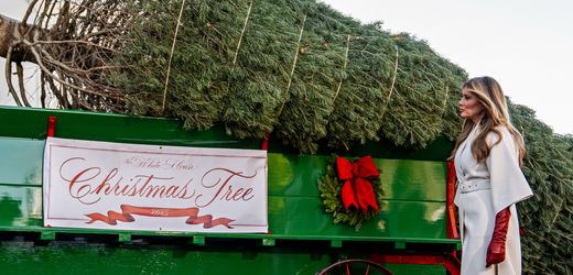 USA: Melania Trump empfängt Weihnachtsbaum im Weißen Haus