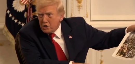 Donald Trump: Reporterin nennt Fakten zu Angreifer von Washington – Trump beleidigt sie