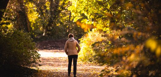Rente: Pläne der Bundesregierung könnten 480 Milliarden Euro kosten