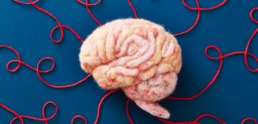 Gehirn: Diese fünf Phasen durchläuft es im Leben