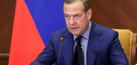 AfD: Fraktion untersagt Mitgliedern Treffen mit Dmitrij Medwedew in Russland