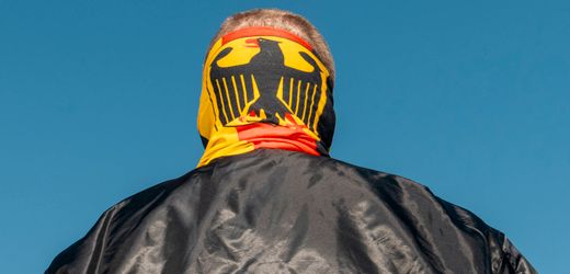 AfD: Der erfolgreiche Angriff auf die Institutionen