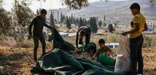 Westjordanland: Gewalt von Siedlern gegen Palästinenser erreicht neuen Höhepunkt