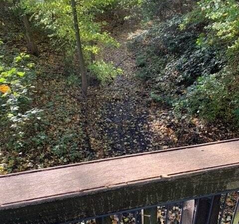 Verärgerte Anwohner in Neuss: Da fließt nichts mehr – der Norfbach und die Tücken der künstlichen Bewässerung