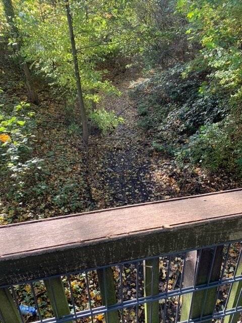 Verärgerte Anwohner in Neuss: Da fließt nichts mehr – der Norfbach und die Tücken der künstlichen Bewässerung