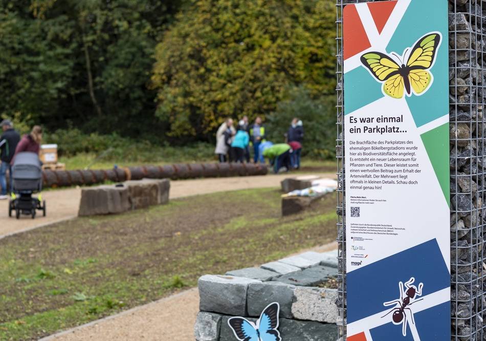 Neue Grünfläche in Mönchengladbach: Vom Parkplatz zum Naturparadies am Bökelberg