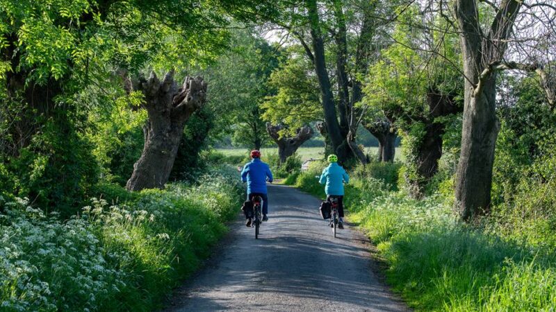 Nabu-Naturkalender vorgestellt: „Liebeserklärungen“ an den Niederrhein
