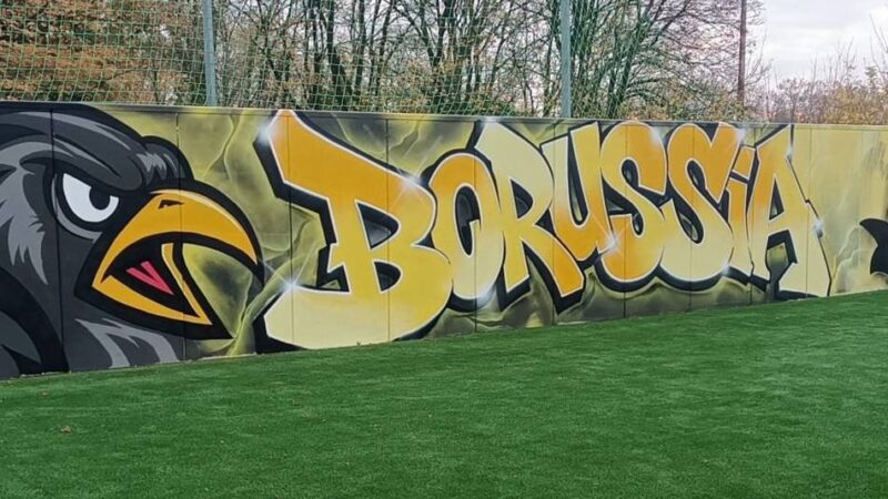 Farbenfrohe Trainingshilfe für die Fußballer: Neuer Hingucker macht Borussia Veen stolz