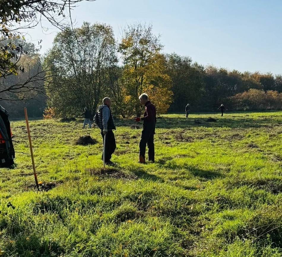 Naturschutz in Langenfeld: Invasive Pflanzen im Landschaftspark Fuhrkamp beseitigt