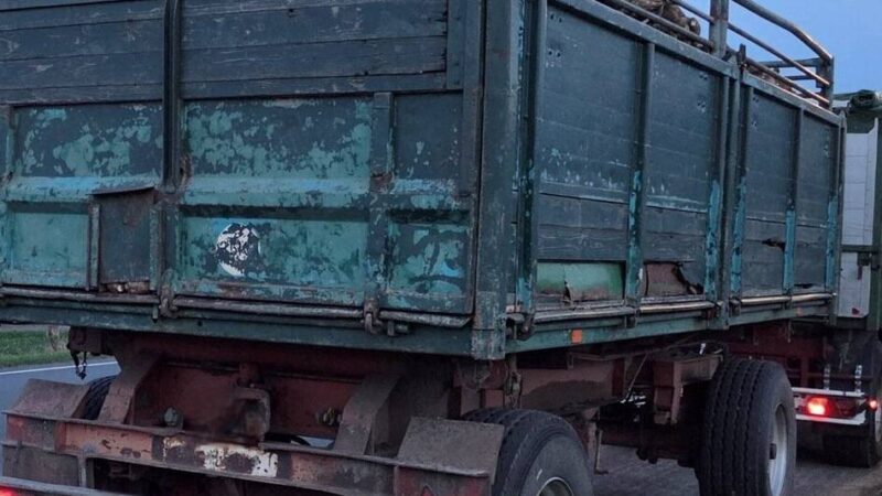 Vorfall in Hamminkeln: Rüben unzureichend gesichert – Polizei untersagt Treckerfahrer die Weiterfahrt