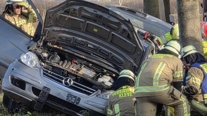 Unfall in Niel: Auto touchiert Baum in Kranenburg – Fahrer schwer verletzt