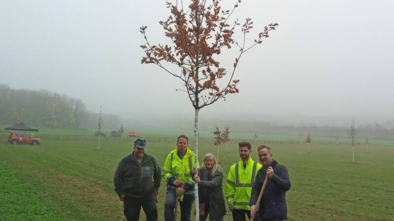 Projekt Mittelwald in Viersen: Gedenkbäume schaffen nachhaltige Erinnerung