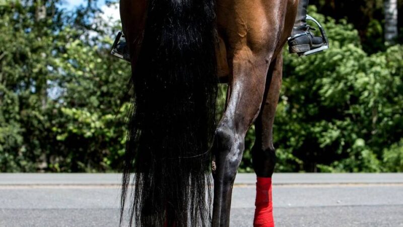 Prozess am Amtsgericht Wermelskirchen: Aufgeladene Stimmung im Gerichtssaal
