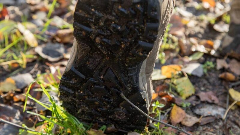 Kulturkreis Hösel: Wandern und Rätselraten in Hösel